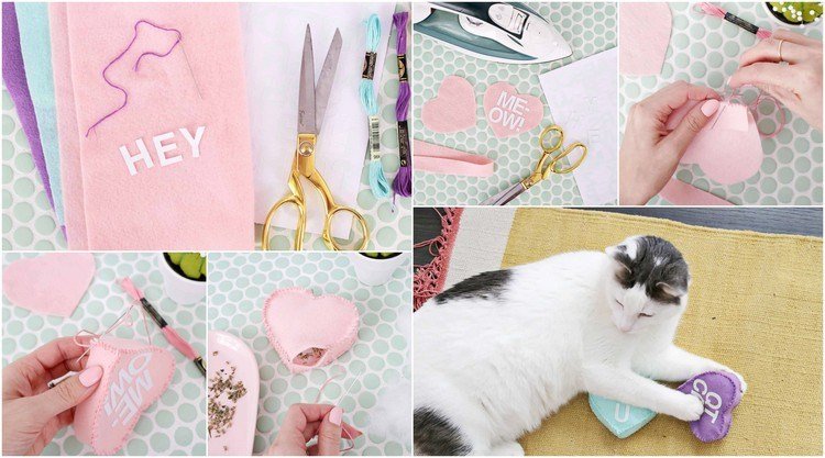 Gör dina egna sällskapsdjur leksaker Katt hantera idéer Kattleksaker DIY -instruktioner
