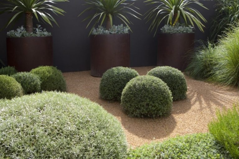 Grit Garden Boxwood Ideas Bilder