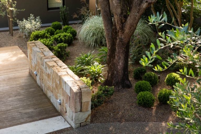Grit garden rock garden tree boxwood