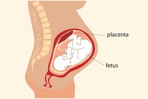 Tiputtelu raskauden aikana 11