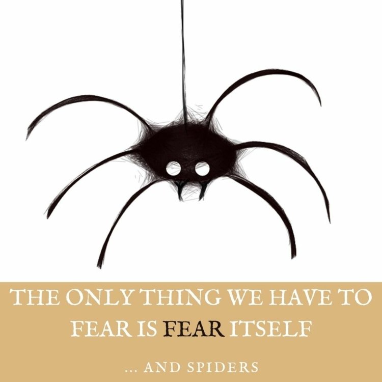 Det enda att vara rädd för är rädslan i sig - och spindlar