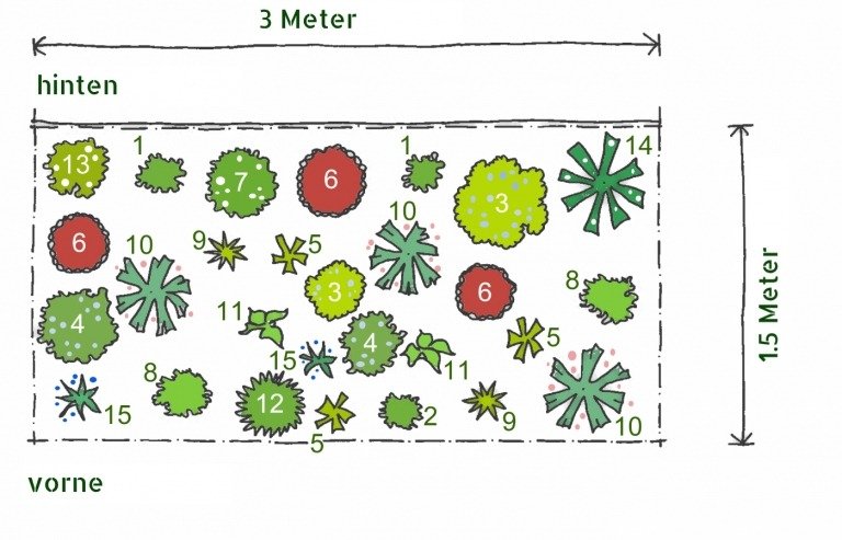 Planteringsplan flerårig säng skuggiga vårblommor växter