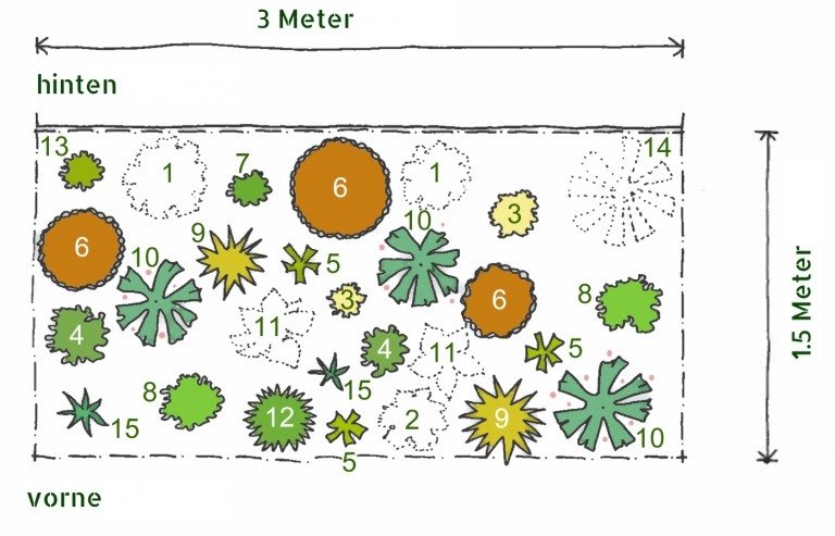 Planteringsplan för flerårig säng på vintern, plantering av halvskugga