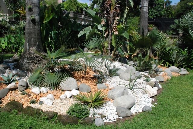 sten trädgård palmer grus färg gräsmatta design