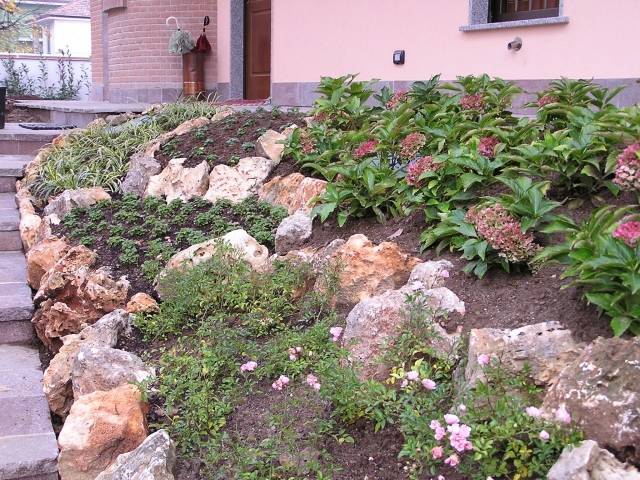 sten trädgård sluttning stödmur markskydd växt jord fix