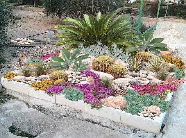 sten trädgård dekoration kaktusar små grönsaker