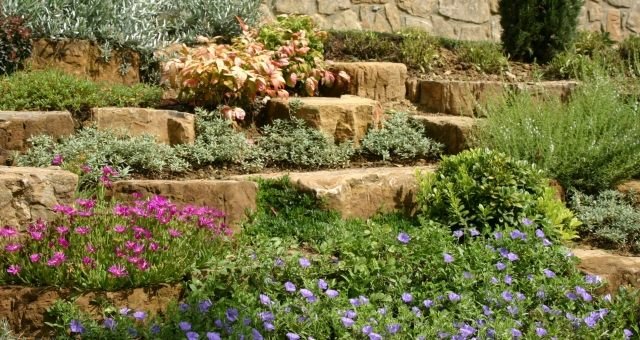 trädgård sluttning design stenar marken täcka perenner
