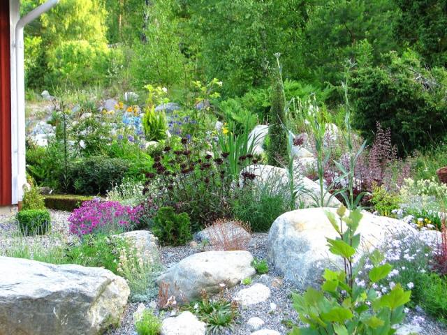 trädgårdsdesign sten natur medelhöga perenner