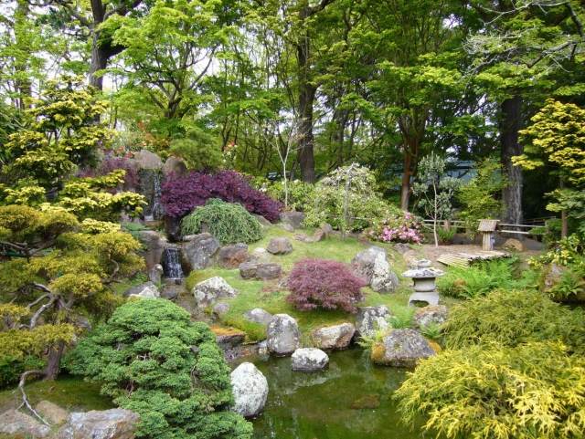 trädgård sluttning stenar damm japansk stil