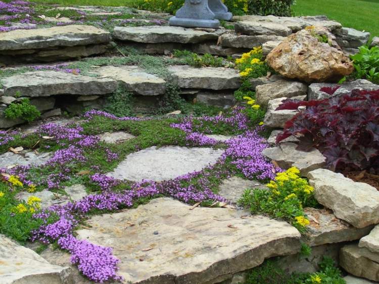 skapa sten trädgård sten plattor mark täcka blommor lila gula etapper