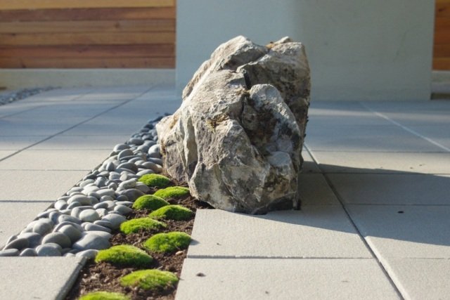 Stenar mossa flodstenar basalt trädgård design