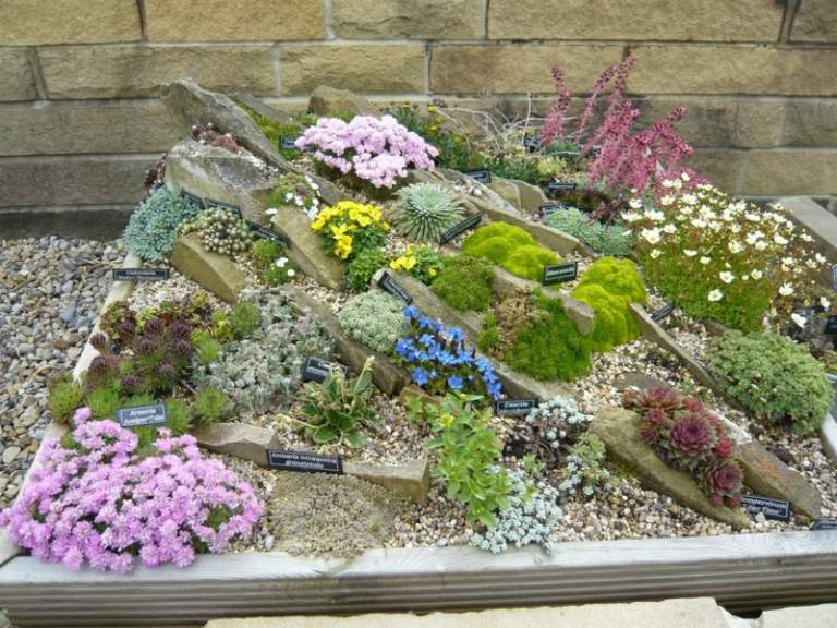 sten trädgård skapa upphöjd säng idé blommor succulenter