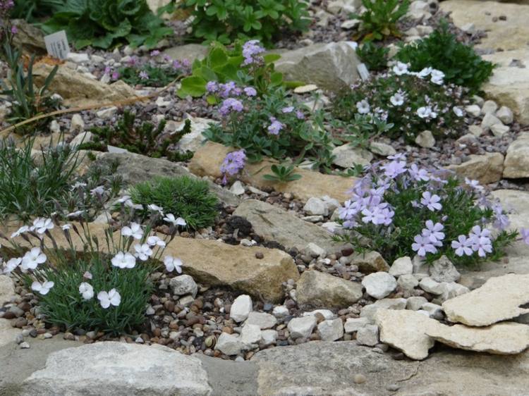 sten trädgård skapa blommor vit lila idé landskapsarkitektur