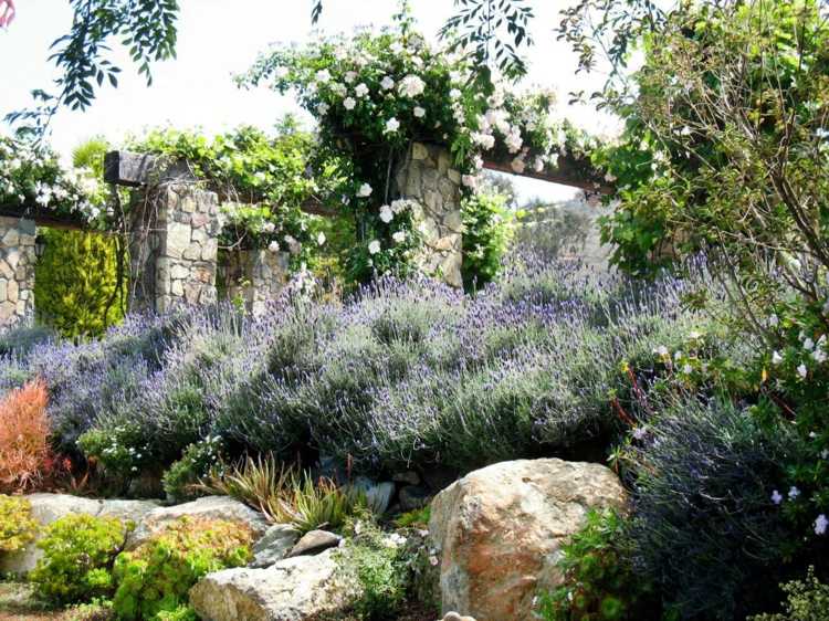 sten trädgård skapa lavendel sluttning design stenar stora