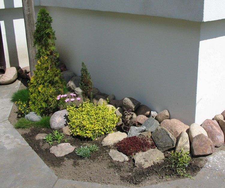 rock-garden-create-eonymus-thuja-ground cover-ziergraeser