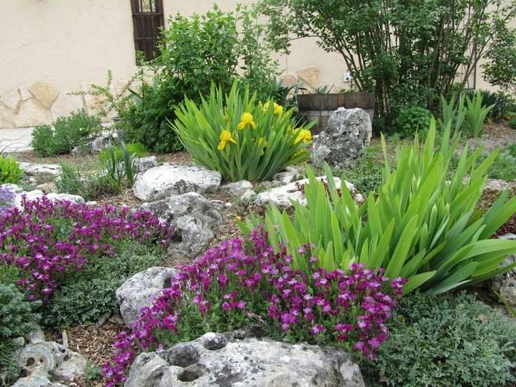 sten-trädgård-skapa-gul-iris-lila-blommande-perenner