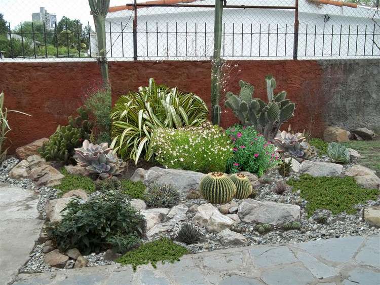 sten-trädgård-skapa-kaktus-succulenter-torr-älskande-växter