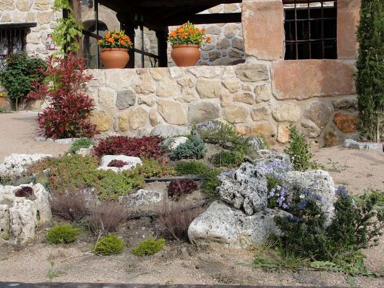 sten-trädgård-skapa-växter-mark-täck-prydnadsgräs