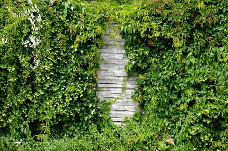 stenmur trädgård design idéer väggsystem trädgård område växter immegreen perenner blomstra trädgård vägg