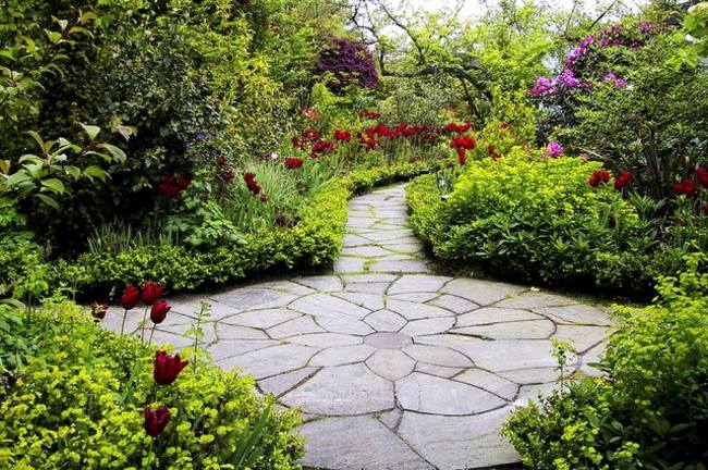 Trädgårdsblommor buskar mosaik tulpaner lila