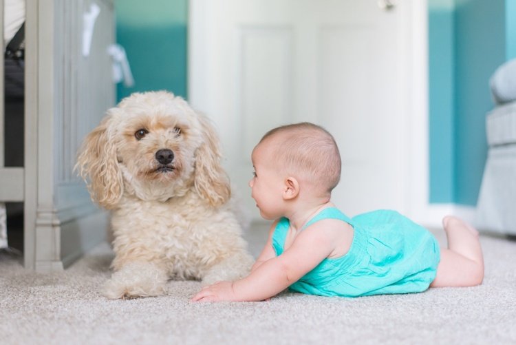 Mattan barnrum friska ljusgrå baby och hund