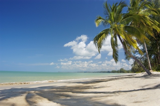 mai-khao-strand-palm-sand-hav