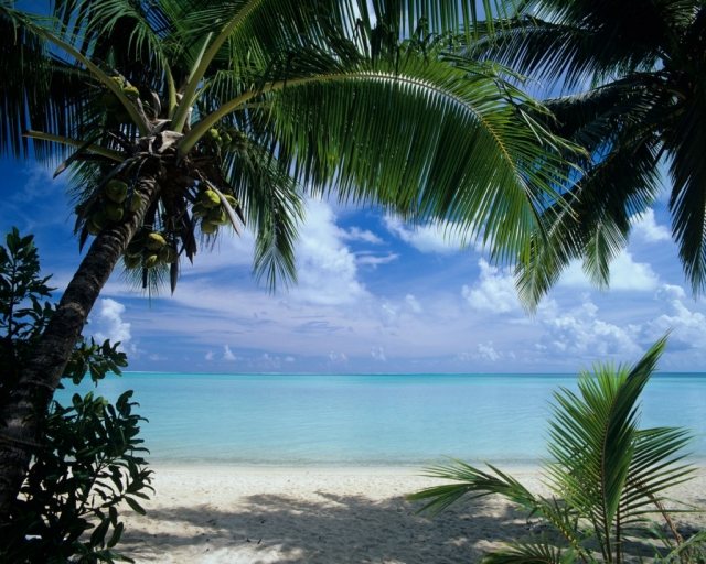 matira-beach-picture-palm-sea-sand