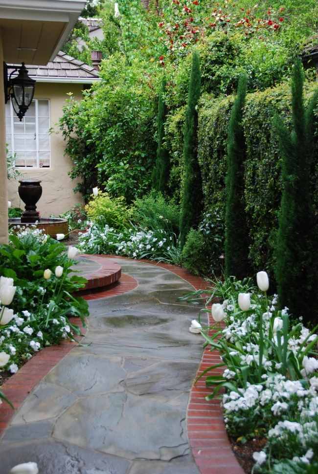 italiensk cypress hus ingång vita tulpaner mark täcka trädgård