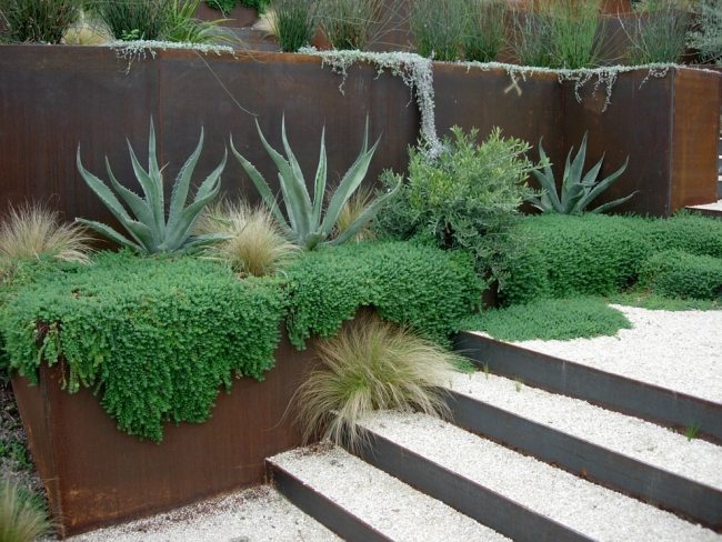 torra växter som strukturerar buskar trädgårds trappor grus