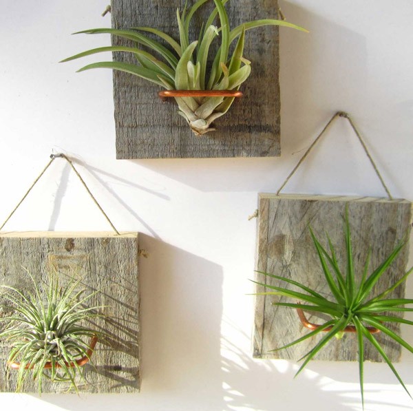 Väggdekorationsidéer Succulent Plant Tree Board Design Idéer