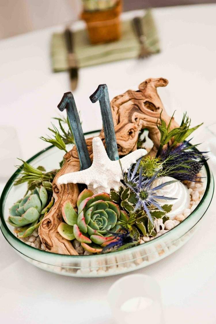 arrangemang succulenter design idé bord nummer tillfälle officiell drivved sjöstjärna