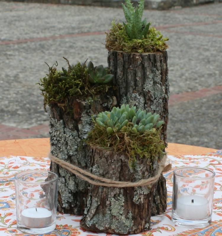 arrangemang succulenter trägrenar blomkruka idé ljus duk