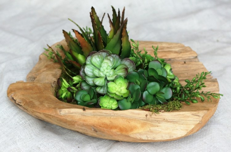 arrangemang succulenter teak trä vattentät inspiration interiör