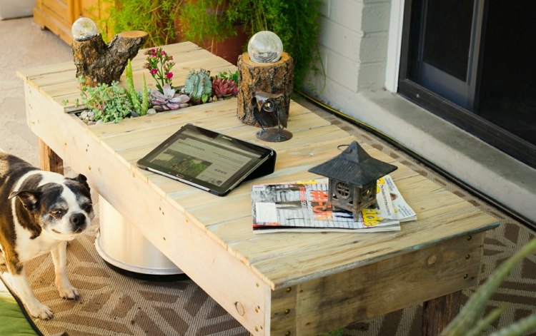 arrangemang succulenter soffbord idé diy blomkruka tablettlykta