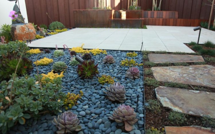 arrangemang succulenter trädgård landskap småsten grå terrass