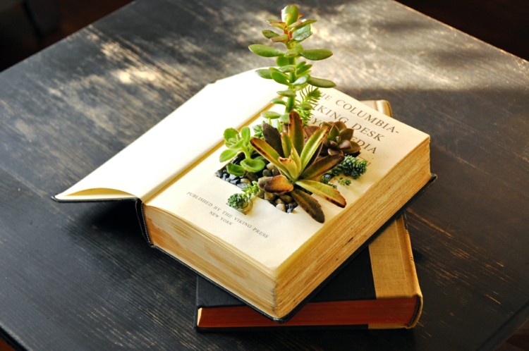 arrangemang succulenter blomkruka bok idé original vintage stil