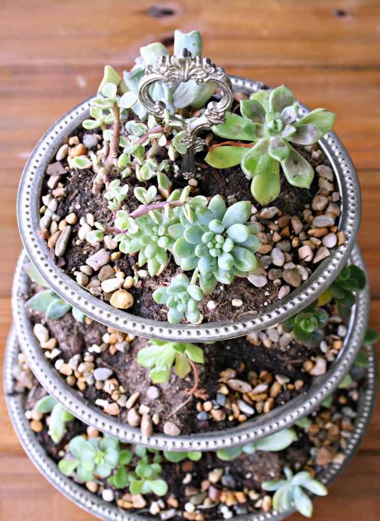 saftiga arrangemang kakor dessert stå idé blomkruka vintage