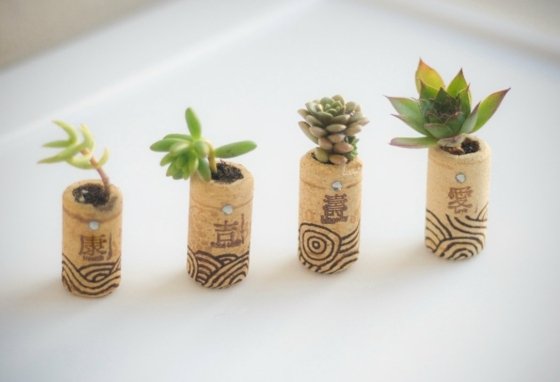 Cork-garden-with-succulents-create-Chinese-characters