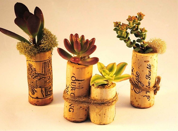 succulenter i korkproppar garn-tie-tinker-idé-enkel-present