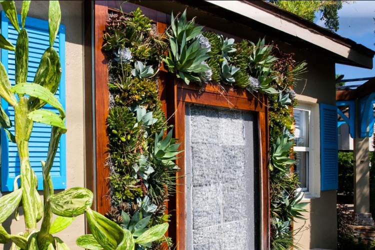 succulenter bryr sig om vertikala trädgårdsidéer