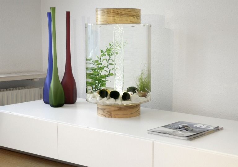 runt sötvattenakvarium med filter- och växtbollar i vardagsrummet