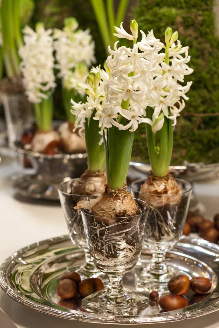 dekorera brickan i vårmetall-blank-hyacint-glas-växter