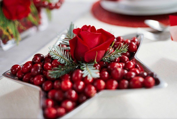 Granar och rosen- och nypon i stjärnskål