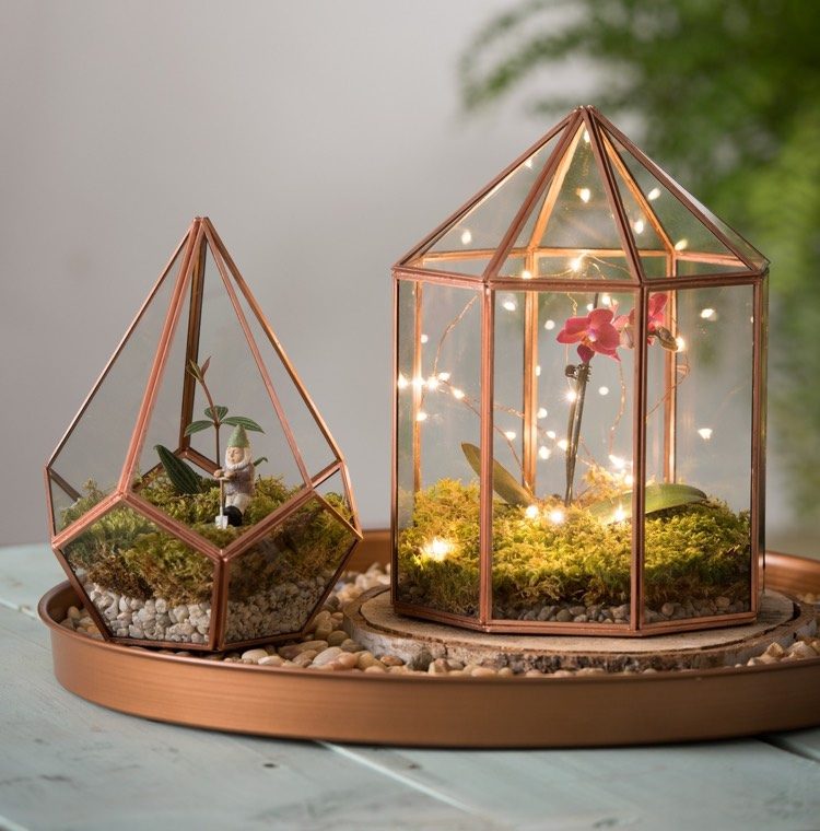 florarium-art-glas-behållare-mossa-mini-orkidé