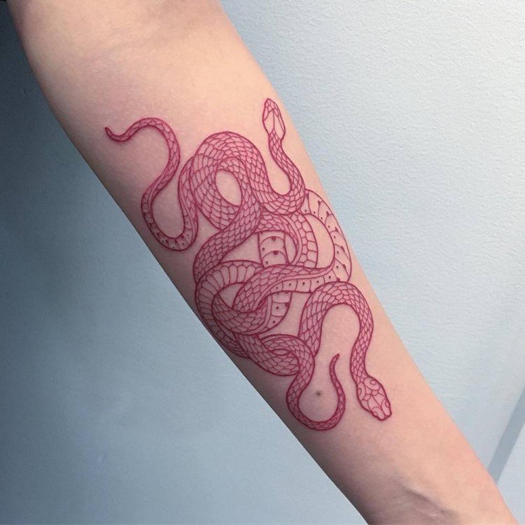 Rött bläck tatuering av två sammanflätade ormar på människans arm inuti