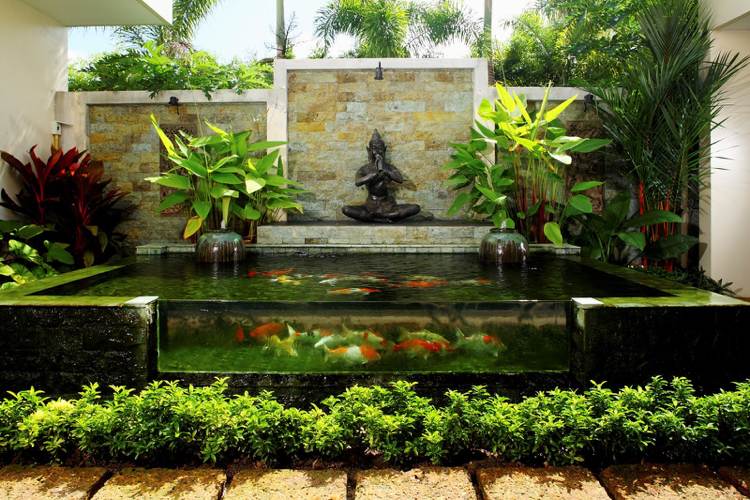 Damm i trädgården glasvägg-koi-fisk-zen-atmosfärskantande växter