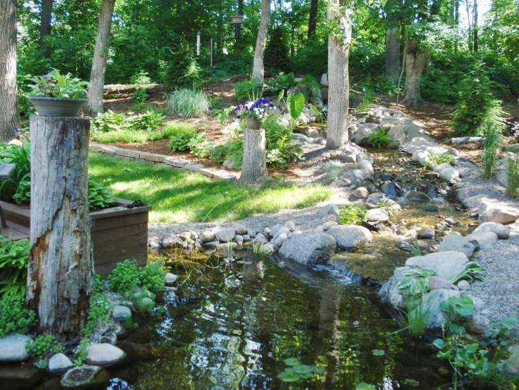 Damm med bäck trädgård-skapa-vatten-växter-grönt