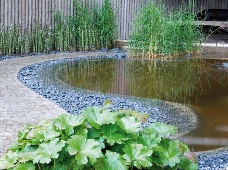 Dammväxter-trädgård-bambu-damm-modern