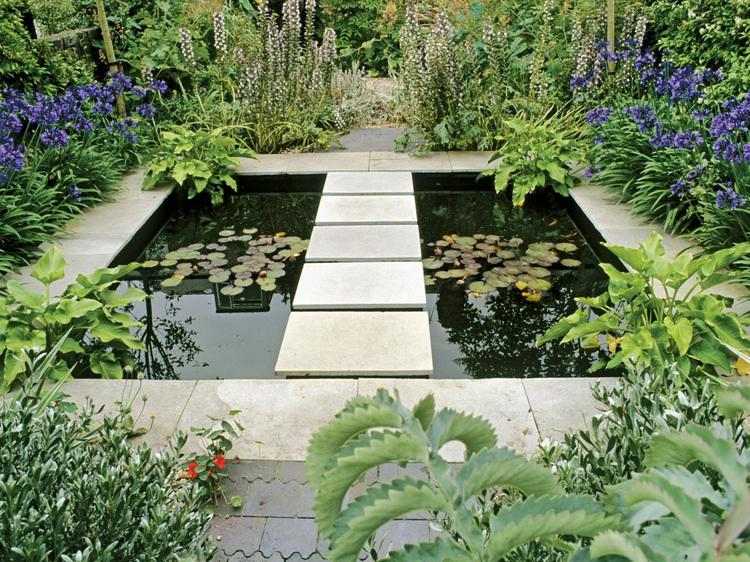 Damm växter trädgård äng iris vatten hyacinter