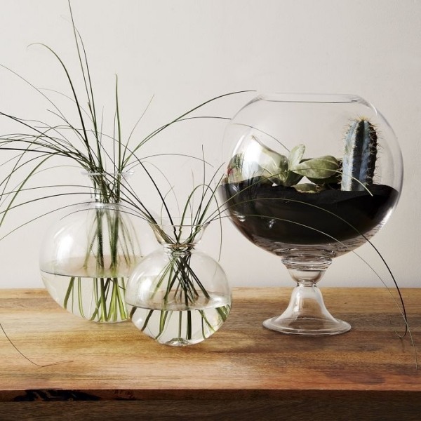 sfärisk vasdesignterrarium som miniträdgård